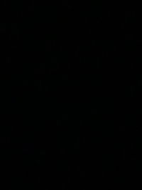 sofearosli profile icon