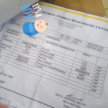 Urinalysis