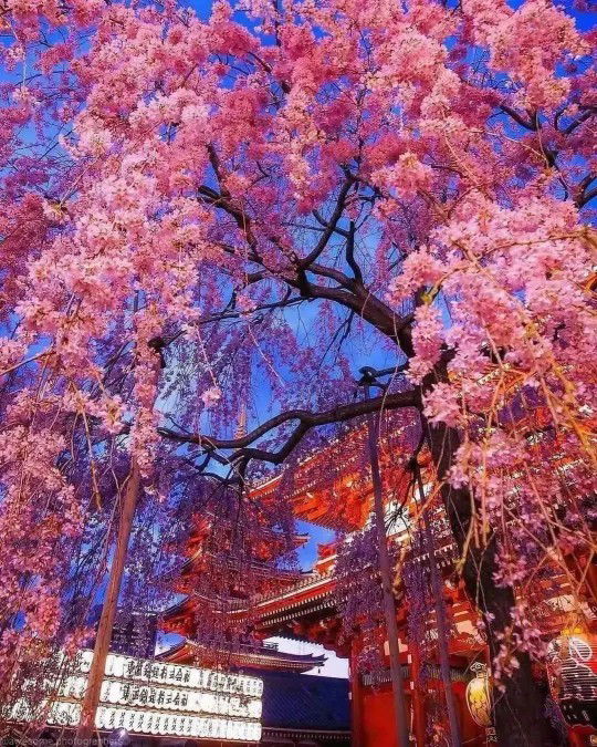 Ranti Sapitri profile icon