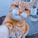 Mutia profile icon