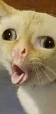 แม่นาวิน profile icon