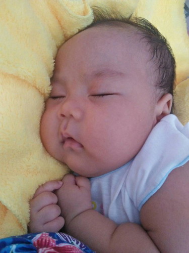 ลูกแม่ หรือ ลูกหมู
