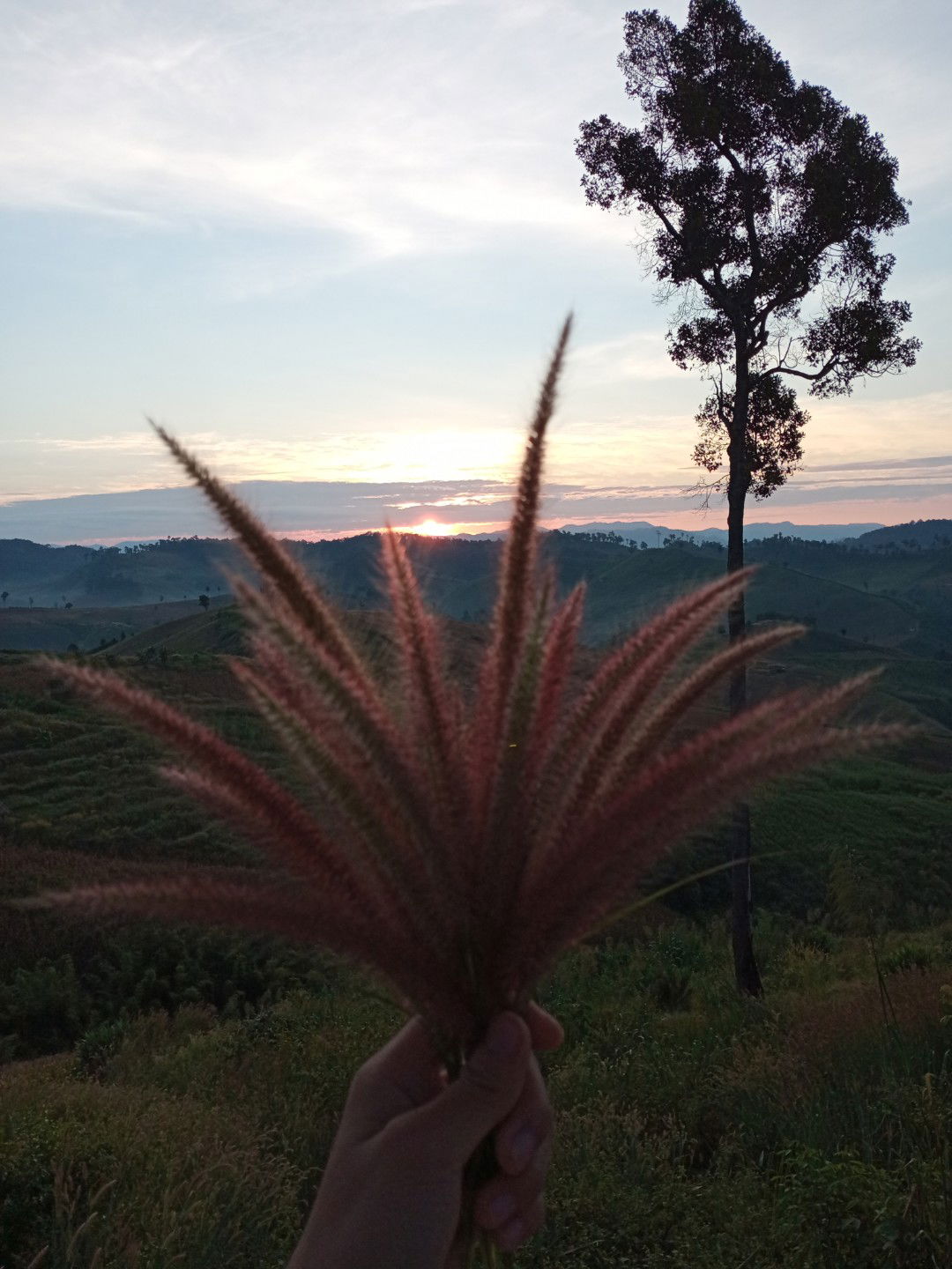 กัญญารัตน์ ฯ. profile icon