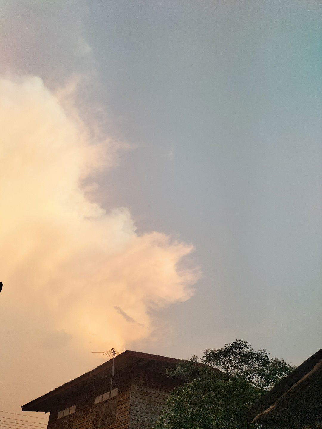 ภัทรวดี profile icon