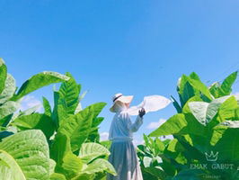 endang winarsih profile icon