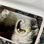 minmeen profile icon