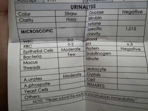 Urinalysis