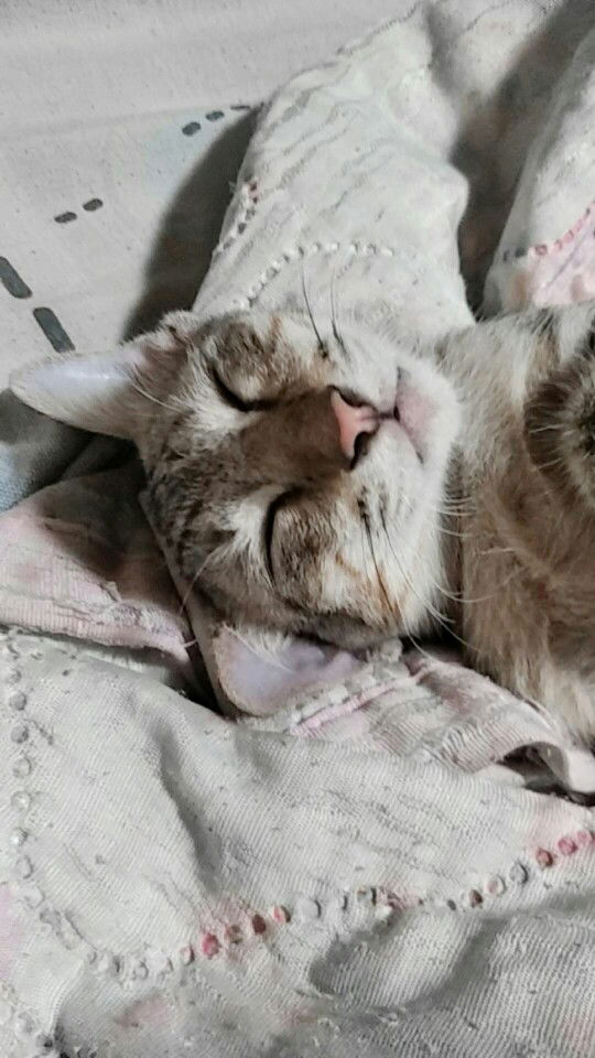 ลลิตา profile icon