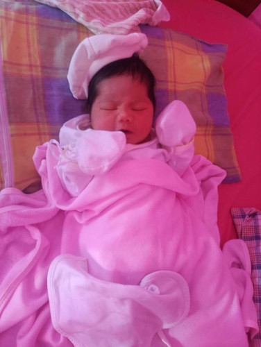 Labor Day Experience