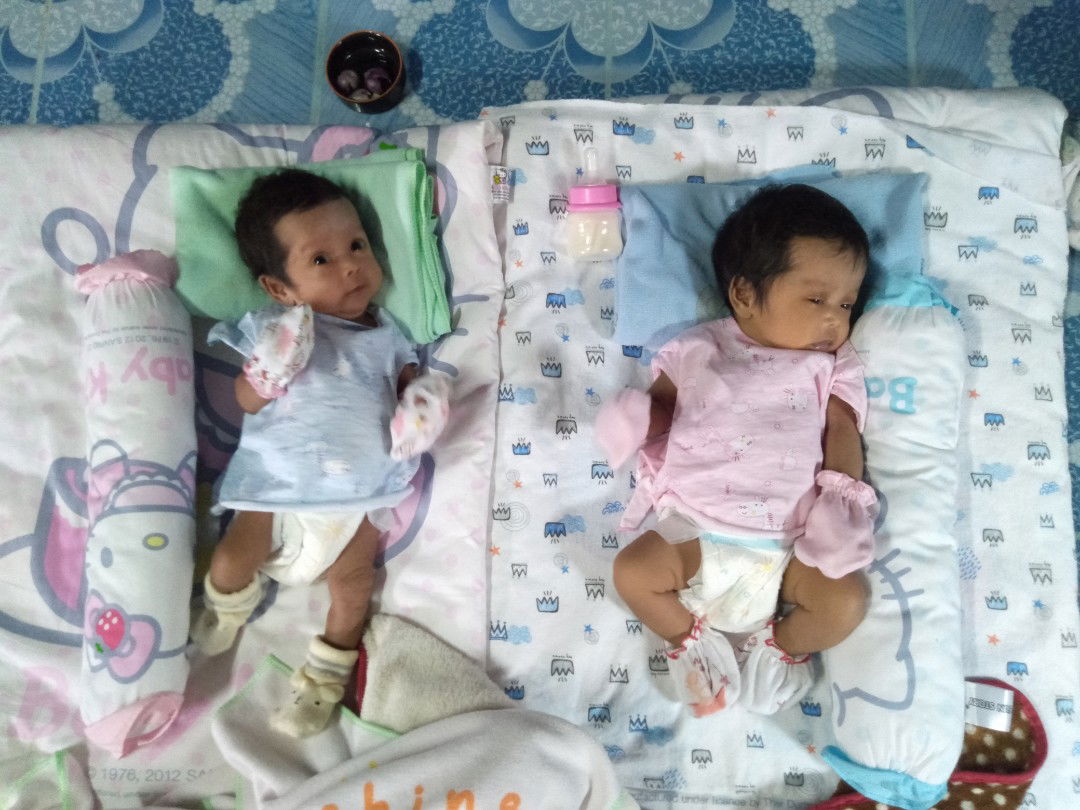 เหมียวแม่ลูกแฝด profile icon