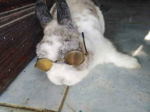 ปุณณ profile icon