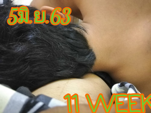 11WEEK