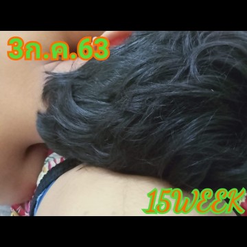 สวัสดี15WEEK