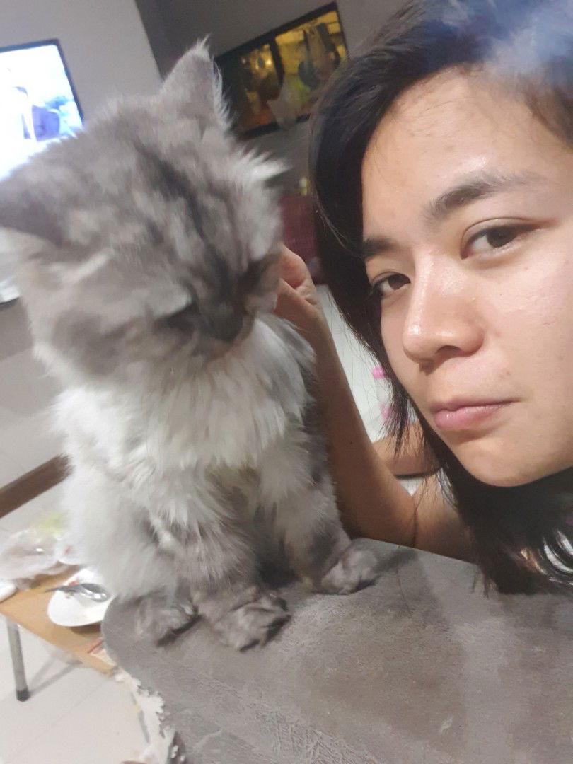 Chu Lee profile icon