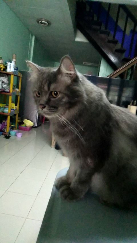 ป๊อป ยิ้มแฉ่ง profile icon