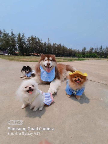 Kannika profile icon