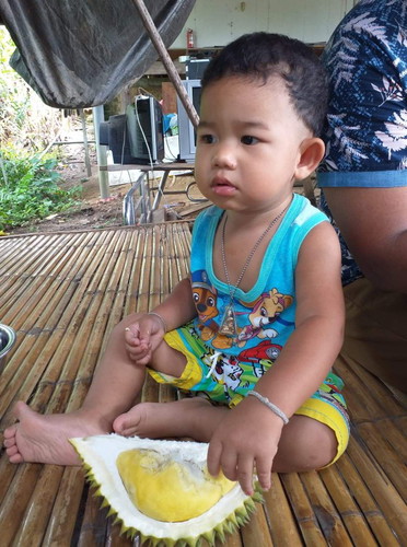 กินทุเรียนจะเป็นอะไรไม่ครับ
