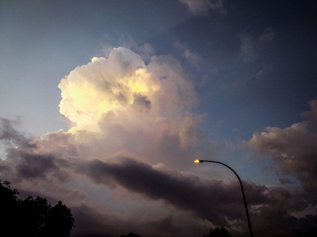 Natasha profile icon