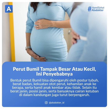 perut