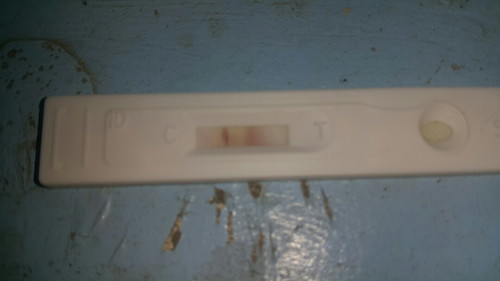 Pregnancy test kit