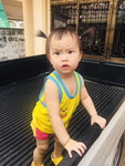 อภิชญา วงศ์เครือศร profile icon