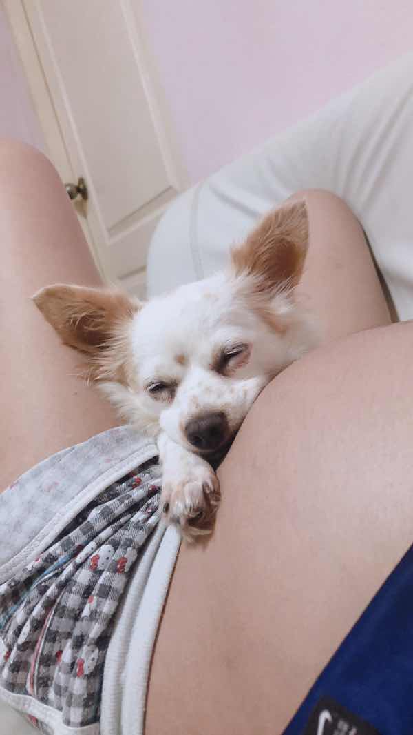 สุธิตา profile icon