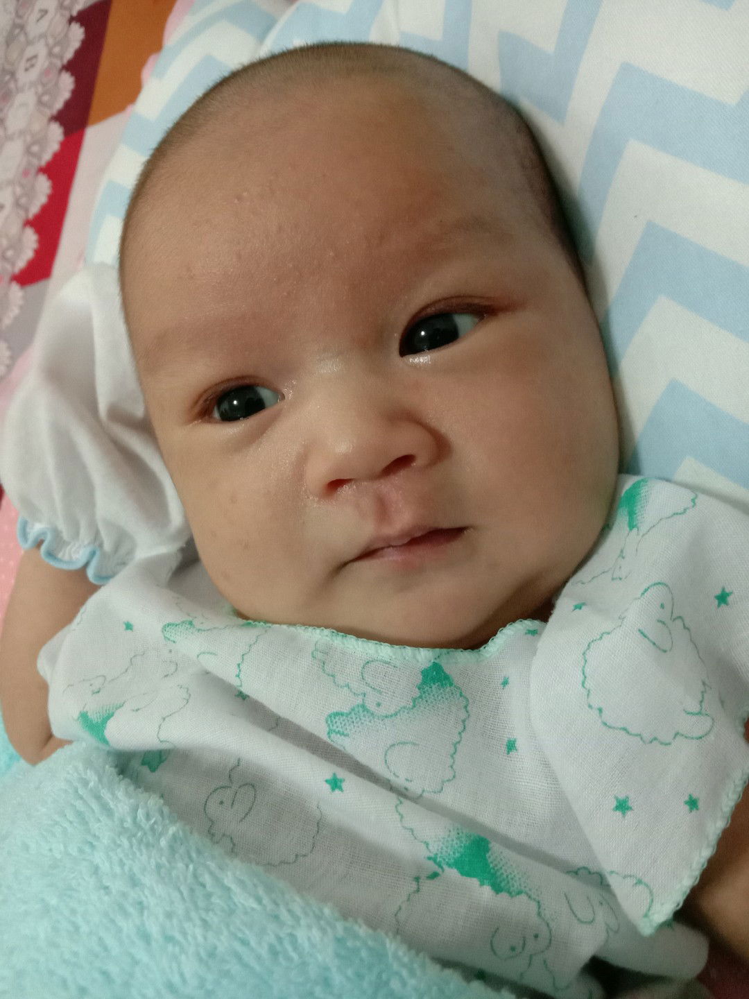 Ph Wa Ch profile icon