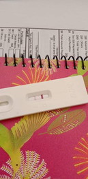 pregnancy test