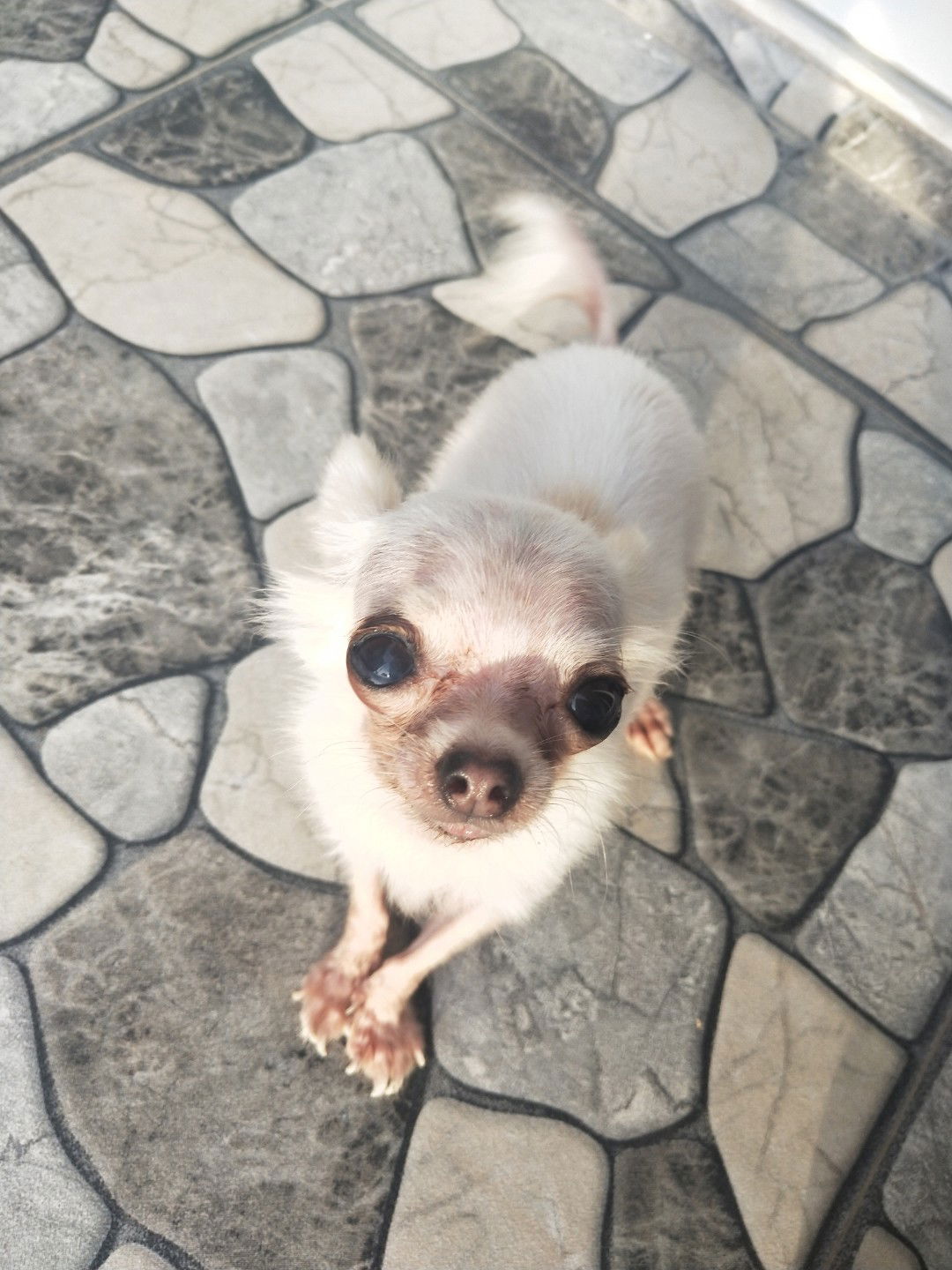 โฟกัส profile icon