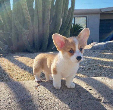 Nick... profile icon