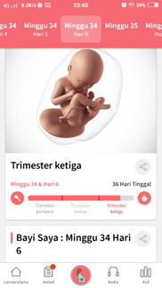 asalam nak tanya kalau 20 weeks boleh tau dak lgi jantina baby.