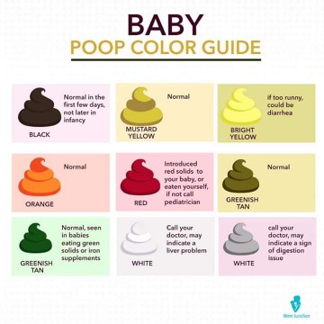 A little Information