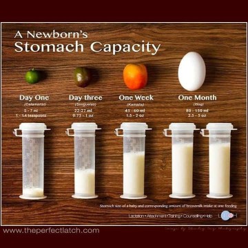 Stomach Capacity of a Newborn Baby