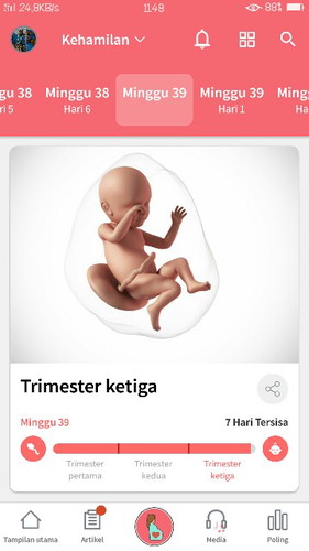 bingung