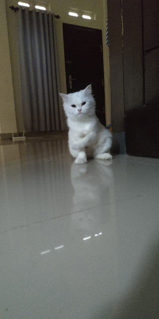 Dwi Wahyu profile icon