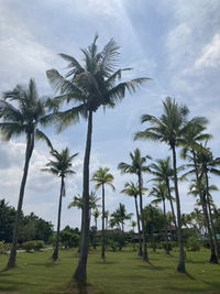 Jinkybitz profile icon