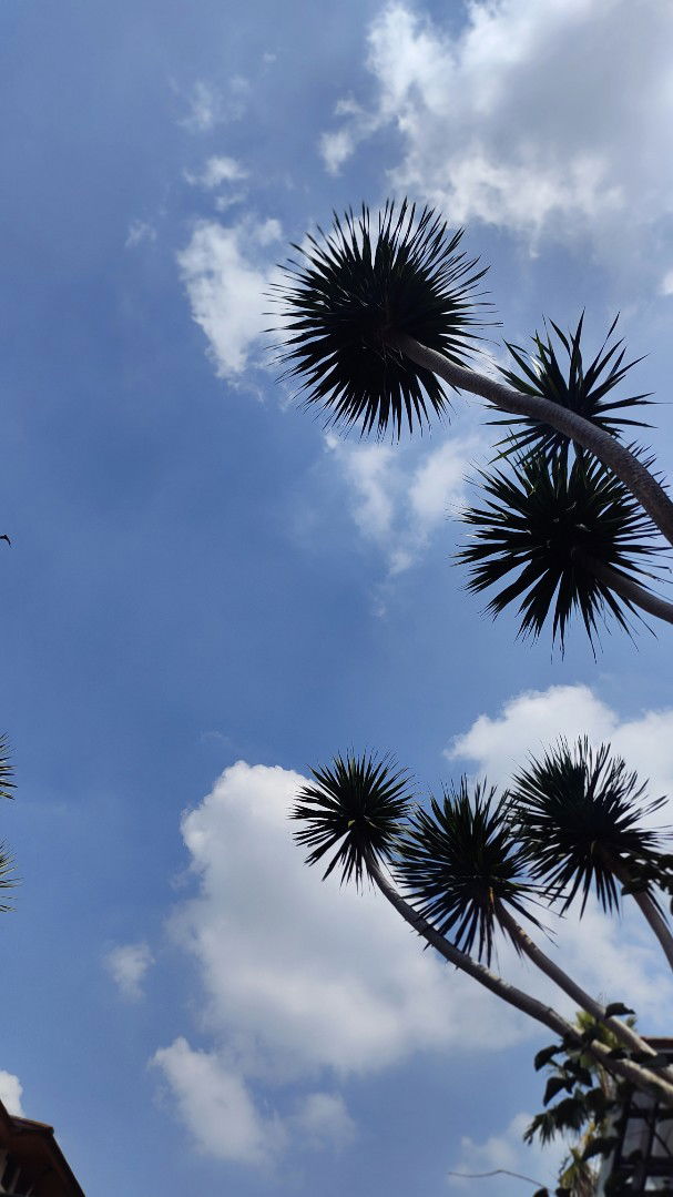 Dika Alhikmah profile icon