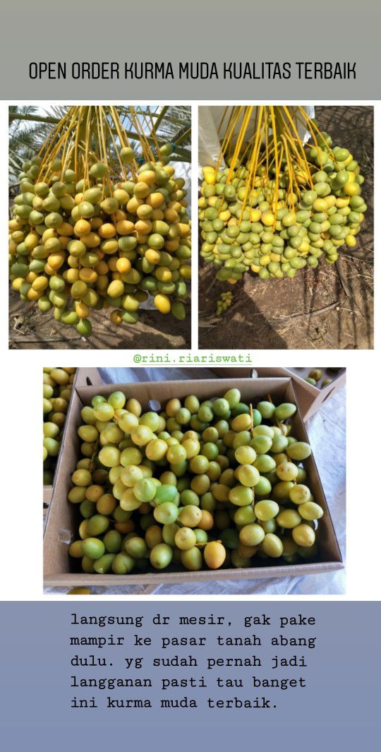 Maaf numpang lapak bunda bunda