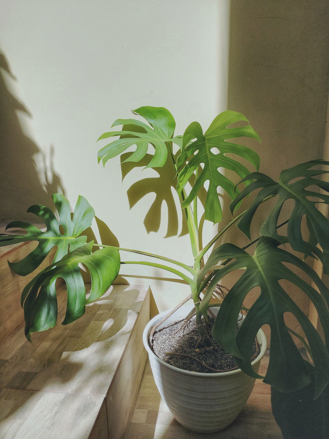 mbak Sri profile icon