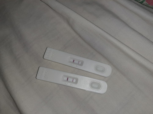 Pregnancy Test