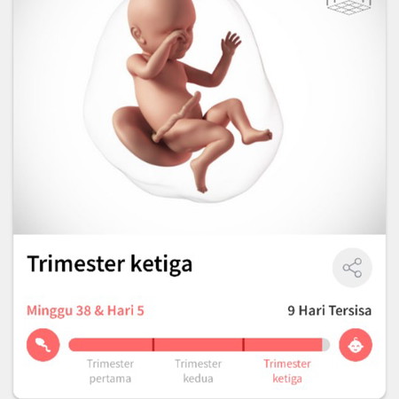 HPL 1 Agustus 2020