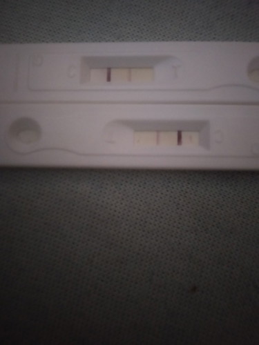 pregnancy test