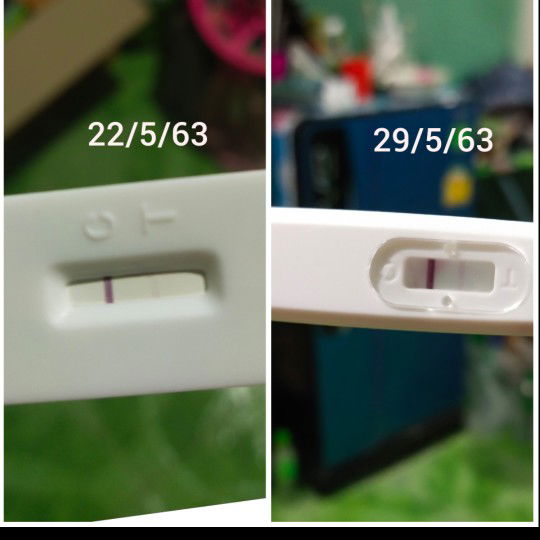 ท้องหรือไม่ท้อง