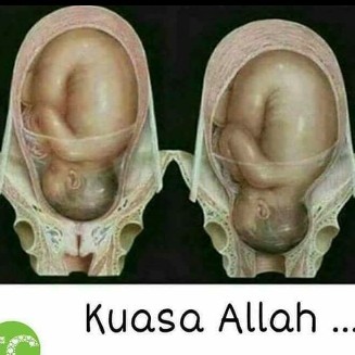 mashaallah Tabarakallah ??????