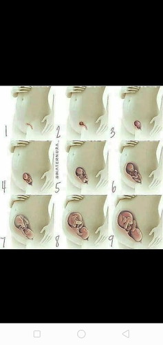mashaallah Tabarakallah ?
