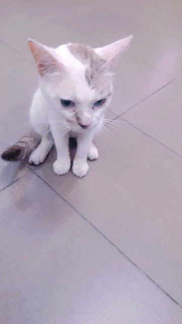 Wy Destiana profile icon