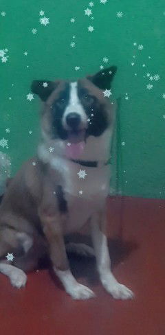 Marieeee profile icon