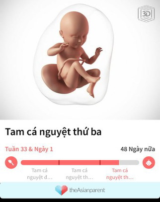 cho e hoi e mang bau con trai hay gai vay