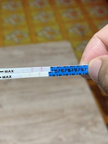 เปรียบเทียบไข่ตก