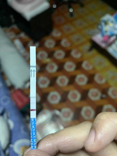 ที่ตรวจครรภ์